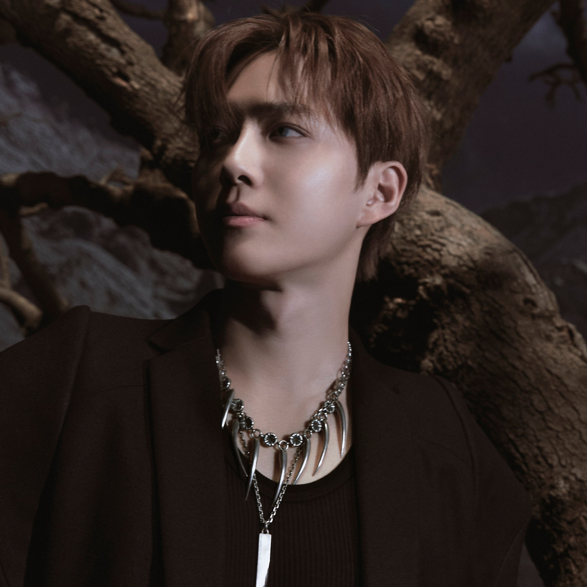 수호 프로필