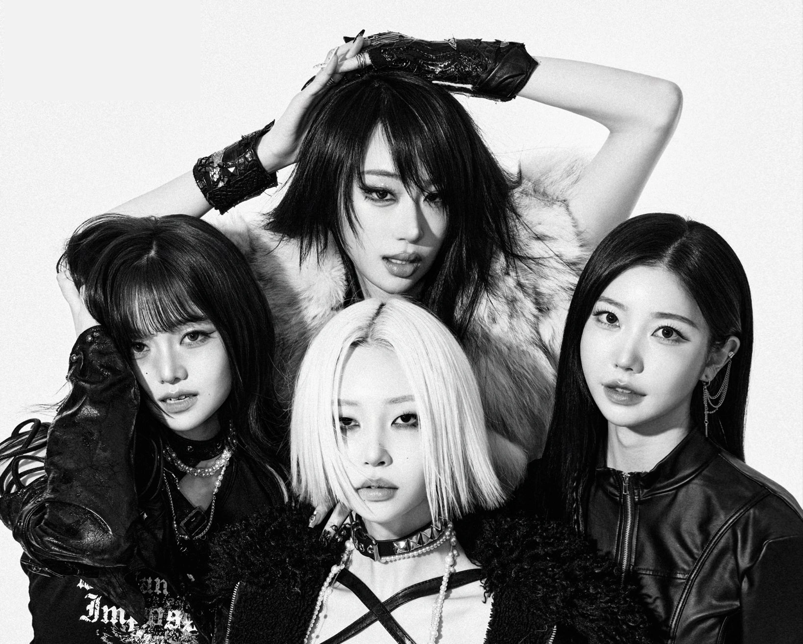 ALICE SYNDROME 프로필