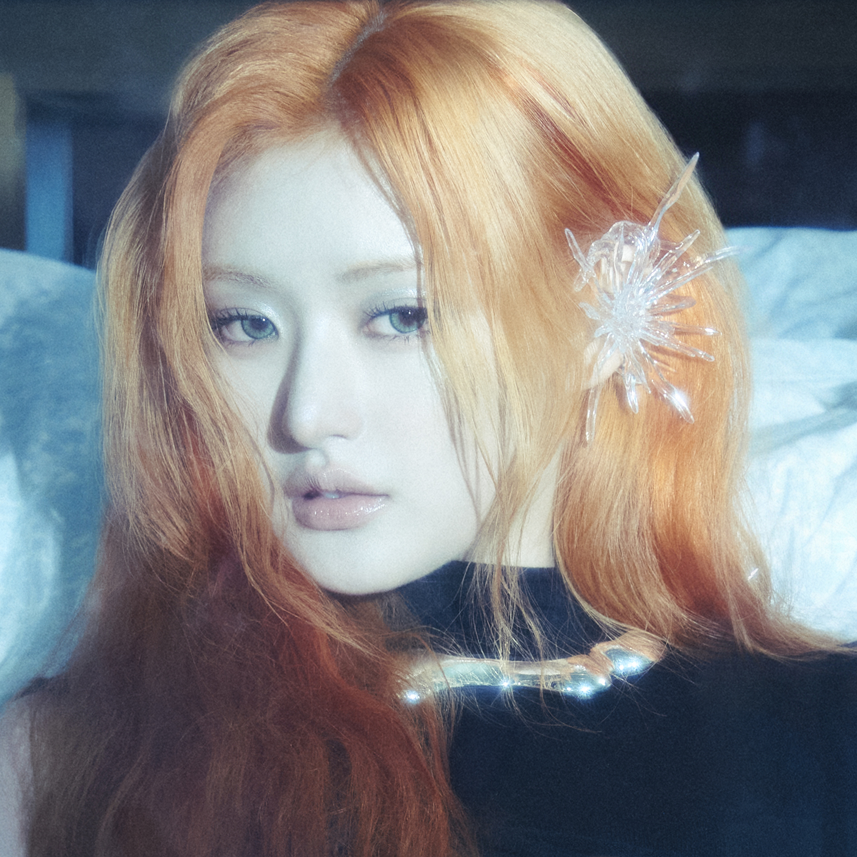 주인 프로필