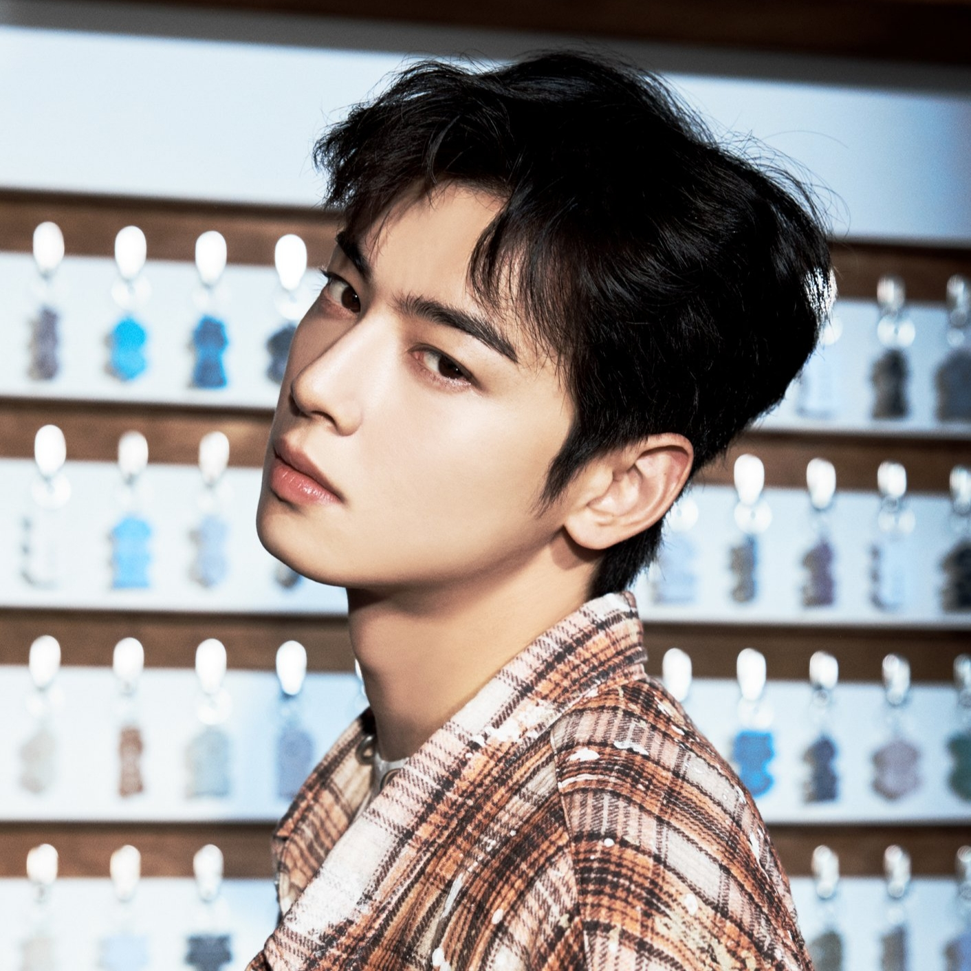 차은우 프로필