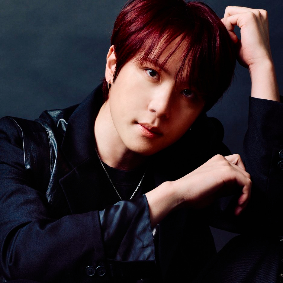 Donghan 프로필