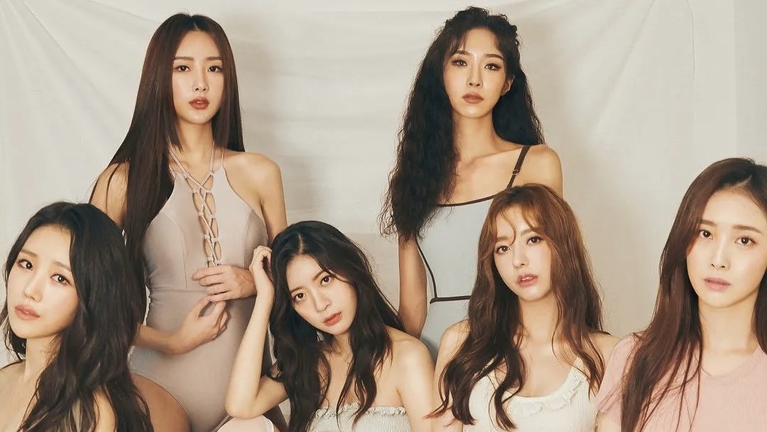 달샤벳 프로필