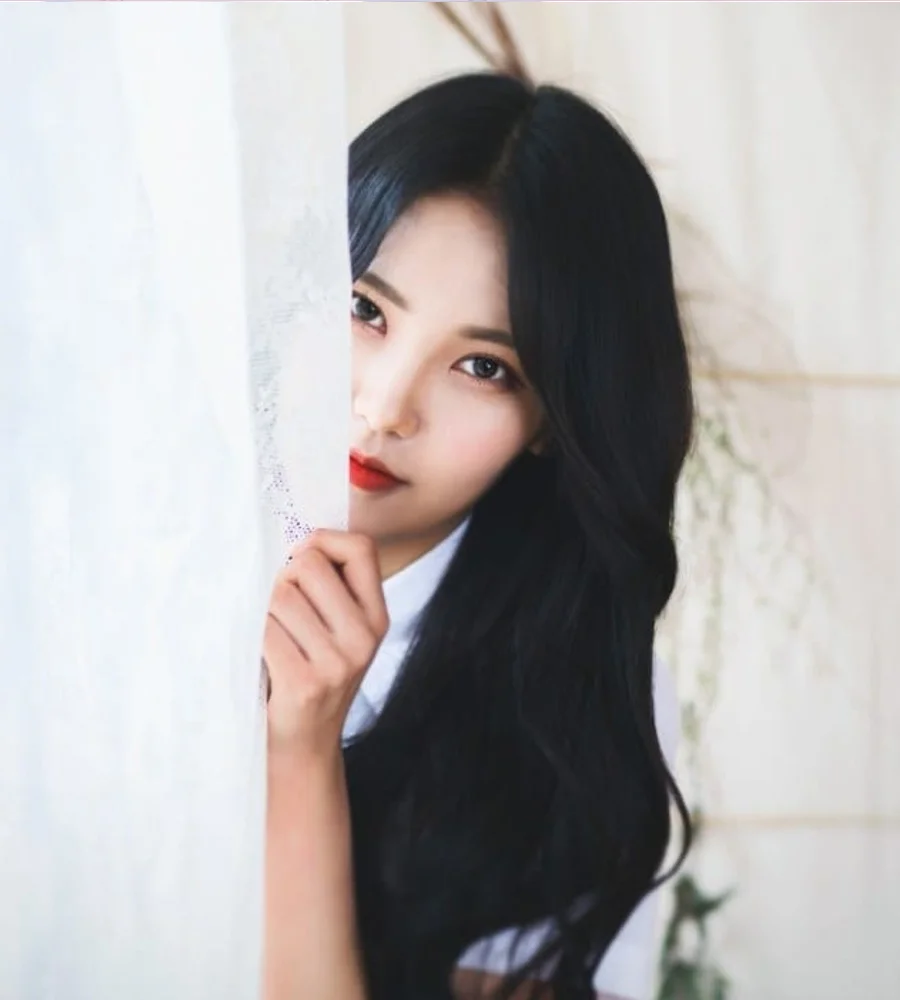Danmi 프로필