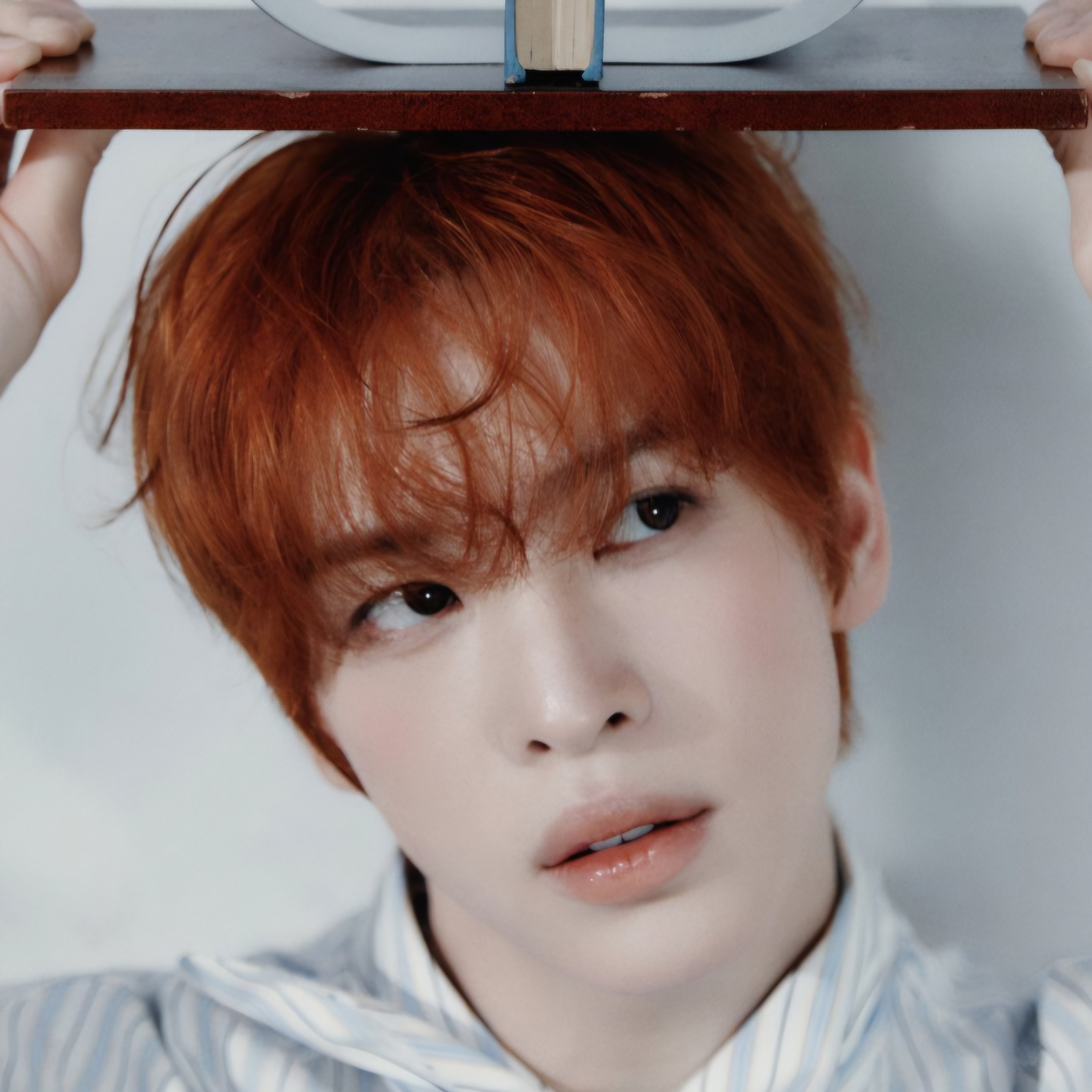 데비 앨런 프로필