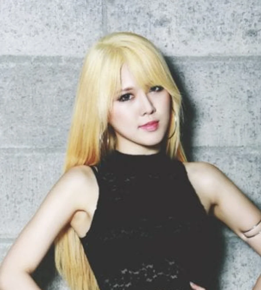 Dareum 프로필