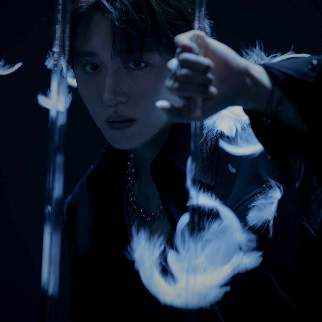 Chani 프로필