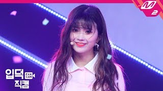 [입덕직캠] 프로미스나인 하영 직캠 4K ‘다시 만난 세계’ (fromis_9 HA YOUNG FanCam) | @MCOUNTDOWN_2019.01.03 - 걸그룹 직캠 | 아카이브 갤러리 - 이미지 1