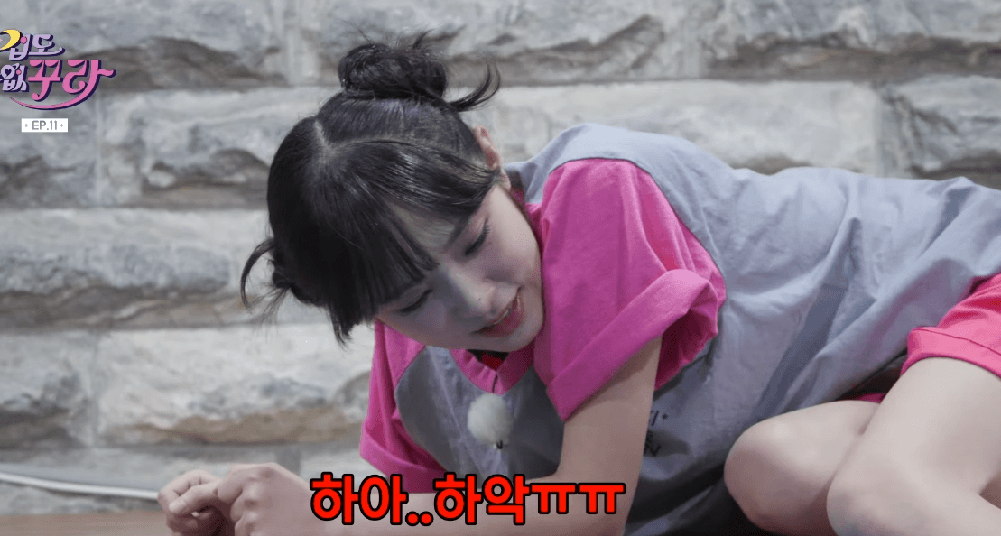 미친놈들아 오리는안돼!!!! - 자유게시판 갤러리