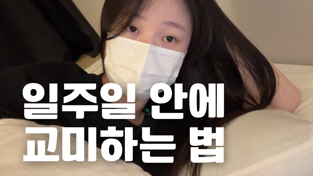 일주일 안에 여자친구 만드는 법 - 자유게시판 갤러리