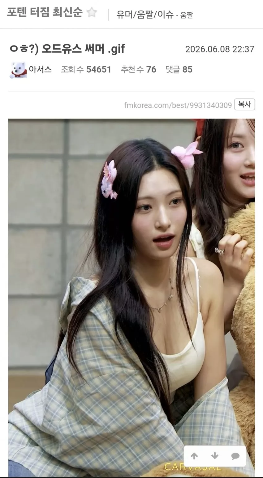 우리 써머가 드디어 포텐 데뷔전 치뤘네요 - 자유게시판 갤러리