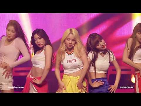 190224 네이처월드(NATURE WORLD) 팬미팅 가가(GAGA) "KISS" 직캠 - 걸그룹 직캠 | 아카이브 갤러리