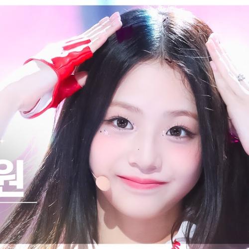 아이돌 이상형 월드컵 갤러리