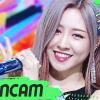 회원정보 보기 - WildVelvet