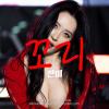 회원정보 보기 - fukin