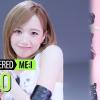 회원정보 보기 - 복숭아