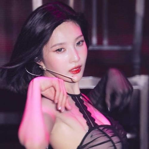 아이돌 이상형 월드컵 갤러리