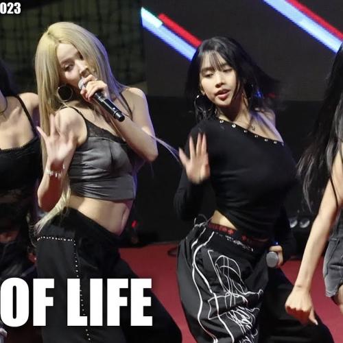 키스오브라이프 대축 풀캠 ♬ Igloo ♬ Sticky ♬ Nothing ♬ Lips Hips Kiss ♬ Midas Touch #KISSOFLIFE #키오프 @251024 대림대