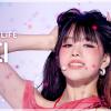 회원정보 보기 - WildVelvet