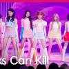 회원정보 보기 - fancam