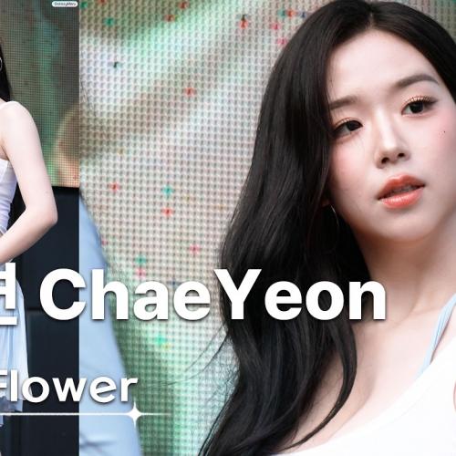 260808 김채연 KimChaeYeon 트리플에스 tripleS💿Baby Flower [8K 30P] 직캠 FANCAM | 홍천 오션월드 | GalaxyMaru