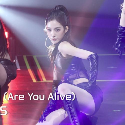 [tripleS(트리플에스)] 261010 ANDLESS in Seoul: 깨어 (Are You Alive) - JiYeon 지연 FANCAM 직캠