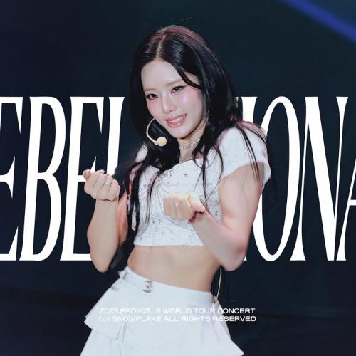 250808-10 프로미스나인 콘서트 REBELUTIONAL 박지원 직캠 [fancam | multicam]