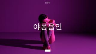 케이걸스넷 - 아이돌 이상형 월드컵