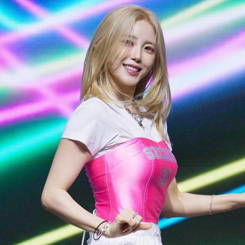 아이돌 이상형 월드컵 갤러리