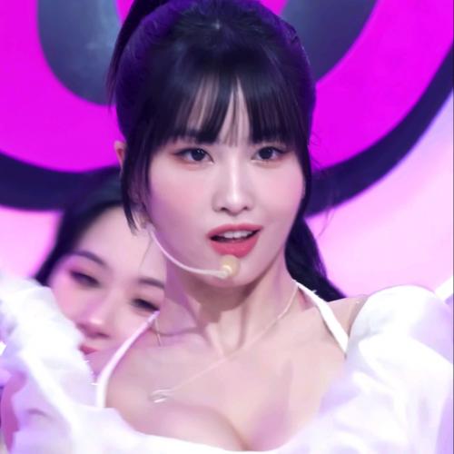 콩콩뛰는 모모